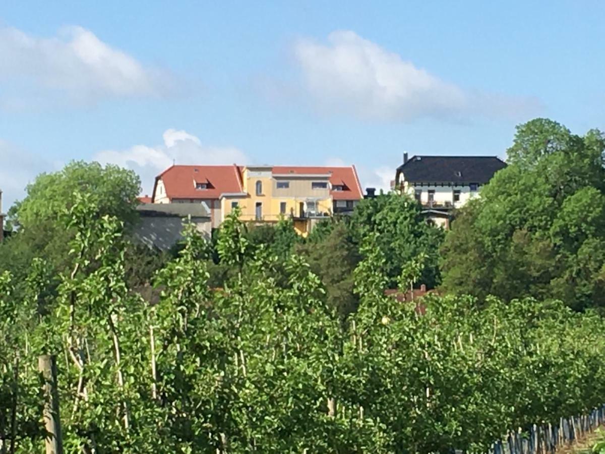 Ferienwohnung Zum Saaletalblick Naumbourg Extérieur photo